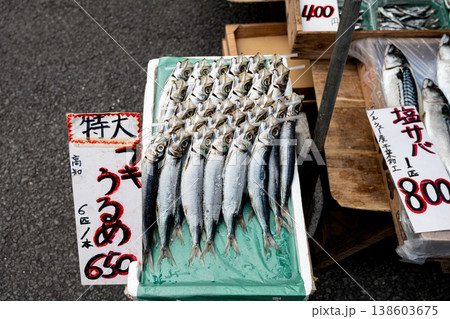 黒潮で獲れた新鮮うるめイワシ 黒潮で獲れた新鮮うるめイワシ 138603675