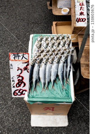 黒潮で獲れた新鮮うるめイワシ 黒潮で獲れた新鮮うるめイワシ 138603676
