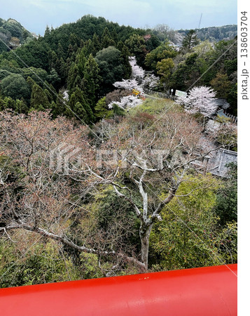 信貴山 朝護孫子寺 桜越しの大寅 信貴山 朝護孫子寺 桜越しの大寅 138603704