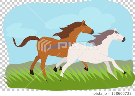 horses running in grass field. flat illustration countryside animal scene with blue sky background 138603722