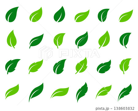 Leaves icons set, plants branches and sprig, eco sign Leaves icons set, plants branches and sprig, eco sign 138603832
