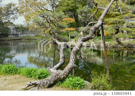 天赦園 庭園 天赦園 庭園 138603941