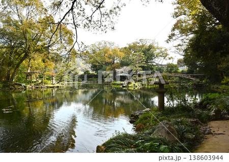 天赦園 庭園 天赦園 庭園 138603944