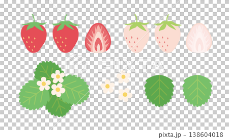 簡單可愛的草莓裝飾插圖套裝:白色草莓、花朵和葉子、草莓橫切面、草莓切片。 簡單可愛的草莓裝飾插圖套裝:白色草莓、花朵和葉子、草莓橫切面、草莓切片。 138604018