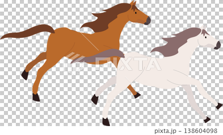 running horse. brown and white horses galloping 138604098