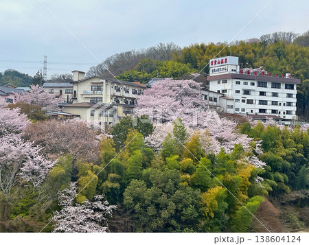 信貴山　朝護孫子寺　見頃の桜 138604124