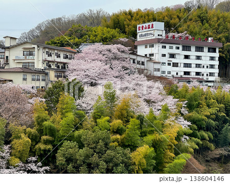 信貴山　朝護孫子寺　見頃の桜 138604146
