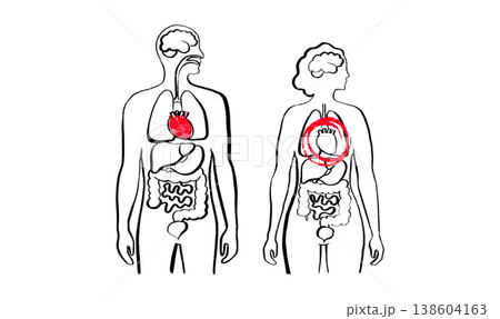 Human heart sketch Human heart sketch 138604163