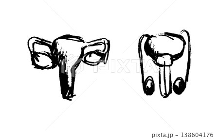 Human Organs Sketch 138604176