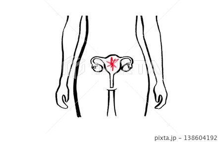 Female reproductive system 138604192