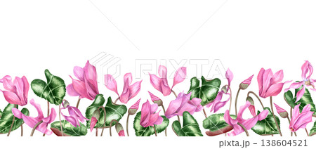 Watercolor pink cyclamen and leaves seamless border on isolated background. Spring blooming flowers horizontal decorative pattern. Floral composition for greeting card, florists shop, textile design Watercolor pink cyclamen and leaves seamless border on isolated background. Spring blooming flowers horizontal decorative pattern. Floral composition for greeting card, florists shop, textile design 138604521