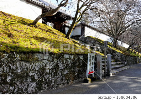 風情ある庭が楽しめる　曼殊院門跡　山門 138604586