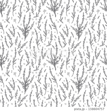Heather twigs seamless vector pattern in black and white. Monochrome small blossoms, tiny leaves of Calluna vulgaris ornate. Scandinavian plant repeating illustration for textile, notebook cover 138604757