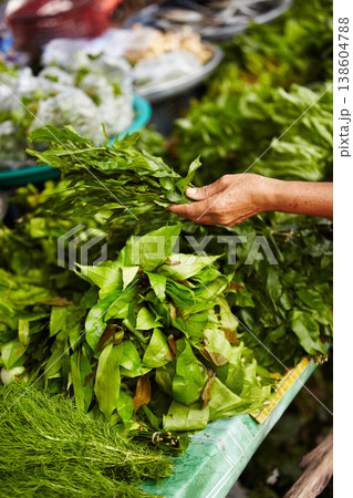 Person hands, vegetables market and herbs for shopping, healthy food choice and discount, sale or groceries at local store. Customer with basil, green plants or leaves for commerce and small business Person hands, vegetables market and herbs for shopping, healthy food choice and discount, sale or groceries at local store. Customer with basil, green plants or leaves for commerce and small business 138604788