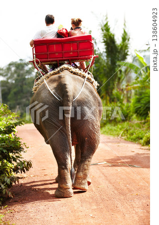Elephant, tourist and riding on back for travel, adventure or vacation outdoor in nature in India. Animal, people and aerial view on a journey in safari, jungle or tourism in the woods for wildlife 138604923