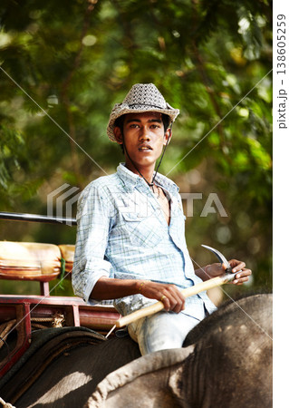 Indian, man and portrait of trainer riding on back of elephant for wildlife, animal rescue and outdoor. Sanctuary, face and person in nature for transportation, adventure or conservation in forest 138605259