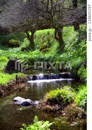 宮崎県高原町の名水秡川の水辺 宮崎県高原町の名水秡川の水辺 138605297