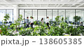 Photo of a modern open office space with indoor plants and blurred people walking, promoting a healthy and productive work environment. 138605385