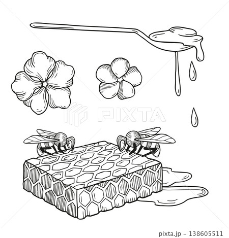 Hand-drawn graphic detailed illustrations, composition with honeycombs and bees, flowers and spoon with fresh honey for packaging 138605511