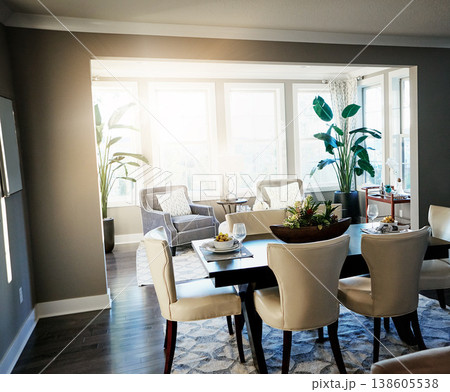Home interior, elegant dining room and modern house with chairs, plants and carpet in space. Clean, minimal and elegant furniture in organised open eating area in cozy, stylish and neutral apartment 138605538
