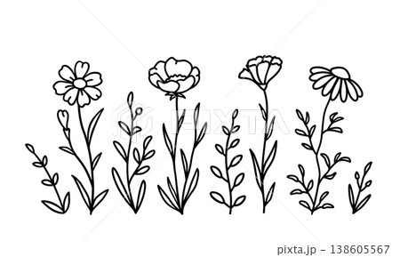 Floral botanical bundle, wildflowers and flowers Floral botanical bundle, wildflowers and flowers 138605567
