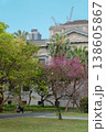 Taipei 228 Peace Park with Spring Flowers in Taiwan 138605867