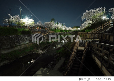 夜桜満開の山崎川 夜桜満開の山崎川 138606549