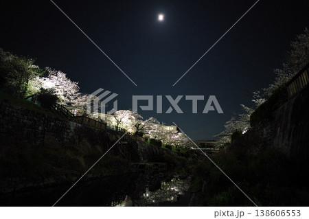 ピンクムーンと夜桜満開の山崎川 ピンクムーンと夜桜満開の山崎川 138606553