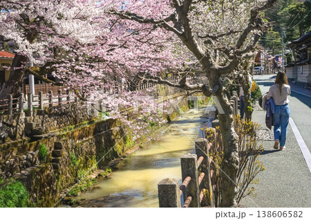 260406江名子川桜z009 138606582