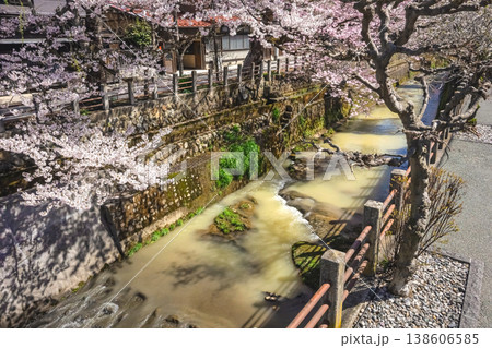 260406江名子川桜z012 138606585