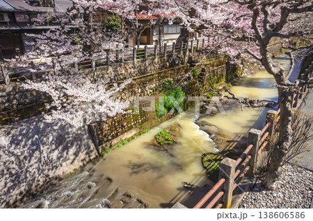 260406江名子川桜z013 138606586