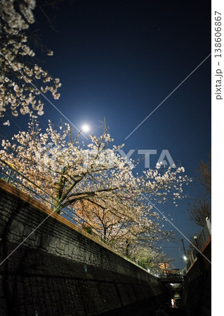 夜桜満開の名古屋 郷下川の川面からピンクムーンを望む 夜桜満開の名古屋 郷下川の川面からピンクムーンを望む 138606867