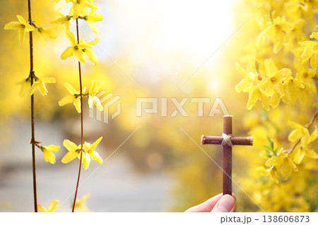 Easter concept featuring a cross symbolizing the suffering, death, and resurrection of Jesus Christ, and a background of beautiful forsythia flowers. 138606873