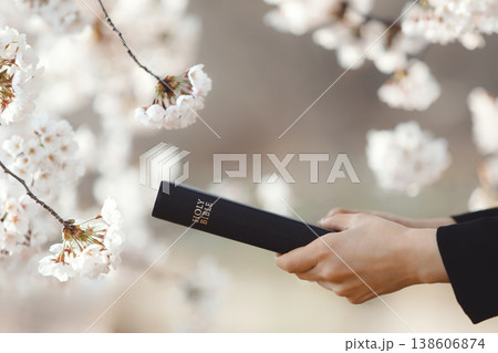 A Christian sharing the Gospel while holding a Bible, evangelism concept with a beautiful cherry blossom background. 138606874