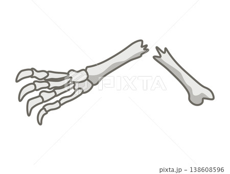 Dinosaurs skeletons parts underground. Fossils, bones of prehistoric reptiles and ammonites Dinosaurs skeletons parts underground. Fossils, bones of prehistoric reptiles and ammonites 138608596