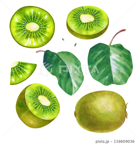 Watercolor collection of fresh kiwi fruits. Set with whole kiwi, halves showing the detailed pulp and seeds, juicy slices, and green leaves. Botanical illustration with realistic textures isolated on 138609036