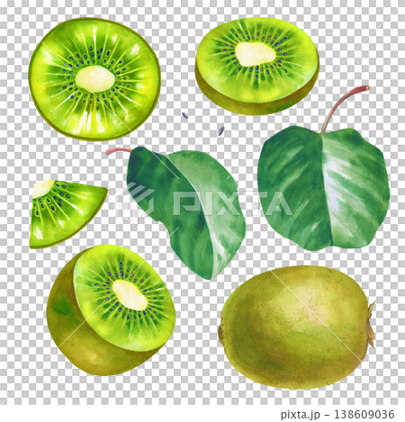 Watercolor collection of fresh kiwi fruits. Set with whole kiwi, halves showing the detailed pulp and seeds, juicy slices, and green leaves. Botanical illustration with realistic textures isolated on 138609036