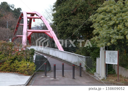 晩秋の飯能河原:割岩橋(埼玉県飯能市) 晩秋の飯能河原:割岩橋(埼玉県飯能市) 138609052