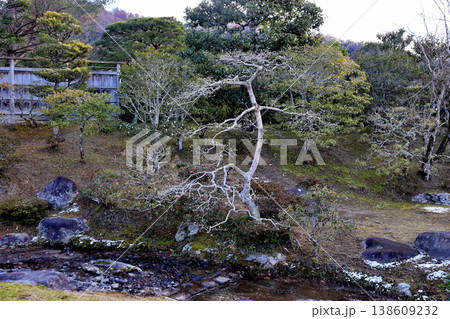 修学院離宮　少し雪が残る庭　と　水面 138609232