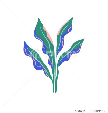 Tropical colorful jungle leaf. Exotic summer illustration and graphic element. 138609557