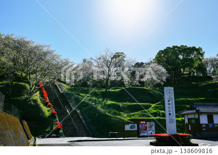 春爛漫！城山公園の彩り 138609816