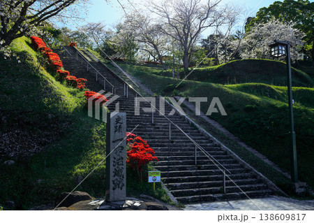 春爛漫!城山公園の彩り 春爛漫!城山公園の彩り 138609817