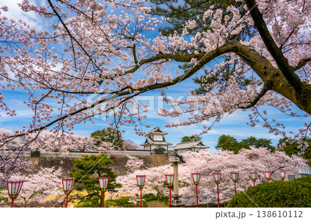 金沢城公園の春 満開の桜に包まれる石川門と石垣の風景 138610112