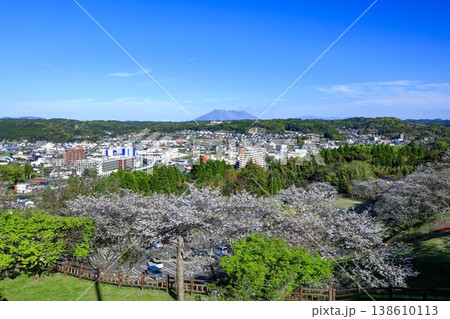 春の城山公園（一宇治城跡） 高台から見る桜島と日置市街のパノラマ風景 138610113