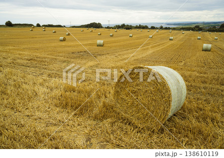 Round hay bales on a field. Midsummer collection of dry hay. Round hay bales on a field. Midsummer collection of dry hay. 138610119