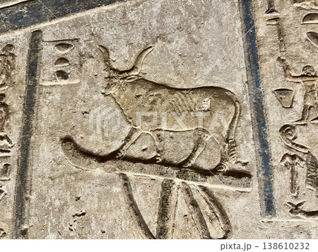 Beautiful bas-reliefs and ancient hieroglyphs from the Dendera Temple Complex, Qena, Egypt 138610232