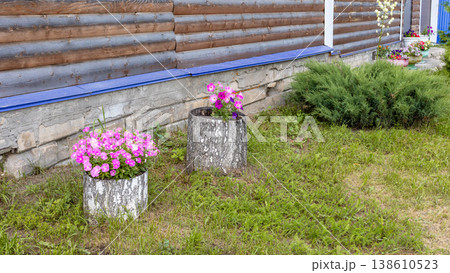 Flower pots with pink blooms beside wooden wall of rustic house 138610523