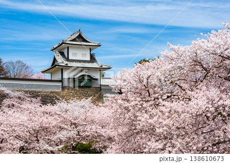 金沢城公園の春 満開の桜に包まれる石川門と石垣の風景 金沢城公園の春 満開の桜に包まれる石川門と石垣の風景 138610673