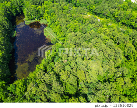 Scenic landscape of woodland. Aerial view of lake in the forest. Aerial view green forest and lake landscape in spring. Nature aerial view. Landscape of green forest. Summer forest. Amazon rainforest Scenic landscape of woodland. Aerial view of lake in the forest. Aerial view green forest and lake landscape in spring. Nature aerial view. Landscape of green forest. Summer forest. Amazon rainforest 138610829