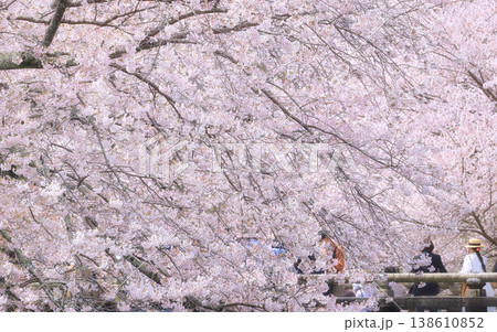 桜、満ちる 138610852